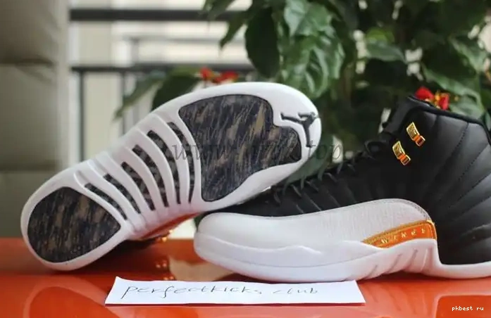 Air Retro Wings Jordan 12 Authentic 0519